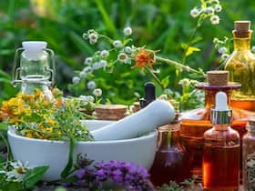 Herbs That Are Beneficial In The Treatment Of PCOS