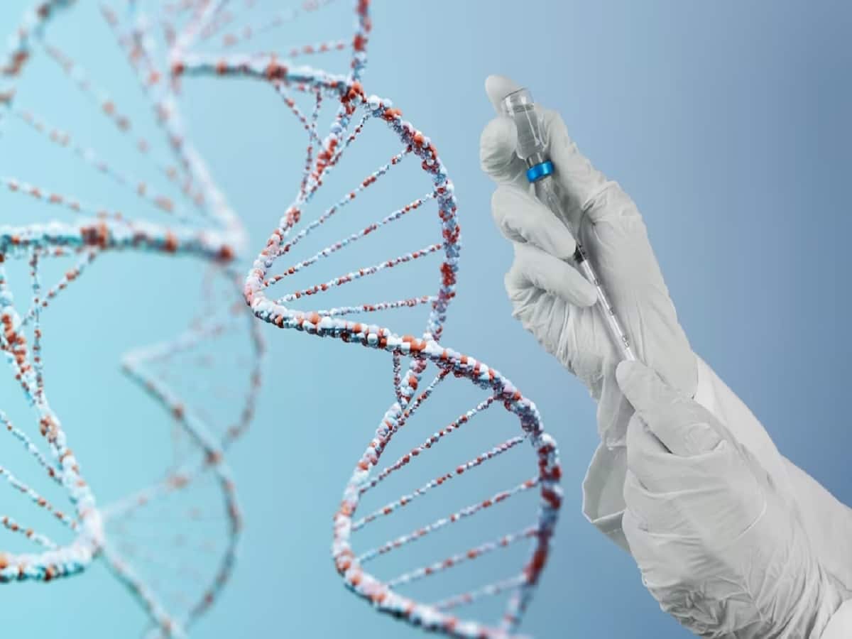 Revolutionary Breakthrough: Regenerative Medicine Offers Hope for Interstitial Lung Disease Patients - Vimarsana News