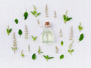 10 Herbs Known For Its Healing Effects