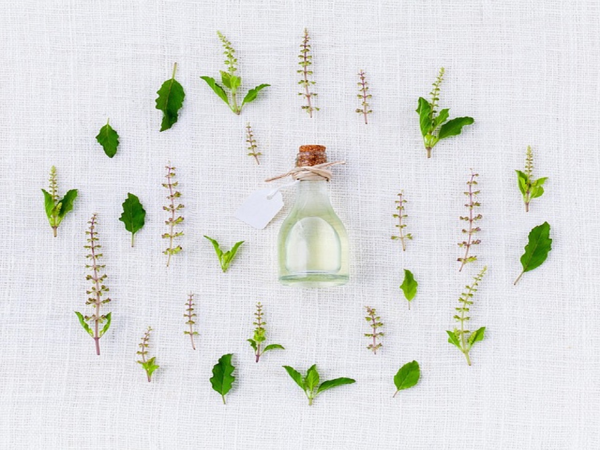 10 Herbs Known For Its Healing Effects