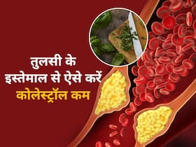 धमनियों में मोम की तरह जमे बैड कोलेस्ट्रॉल को पिघला देगी तुलसी, इन 5 तरीकों से करें यूज कम होगा एलडीएल