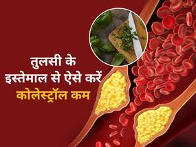 धमनियों में मोम की तरह जमे बैड कोलेस्ट्रॉल को पिघला देगी तुलसी, इन 5 तरीकों से करें यूज कम होगा एलडीएल