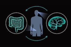 Alzheimer's Day: Exploring The Gut-Brain Connection With Mental  Health