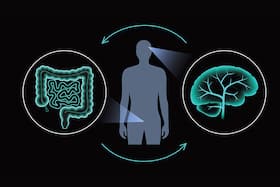 Alzheimer's Day: Exploring The Gut-Brain Connection With Mental Health