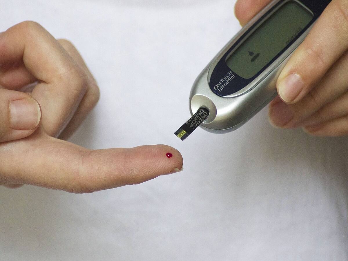 Can Dahlia Flower Extracts Help In Regulating Blood Sugar Levels? - Vimarsana News