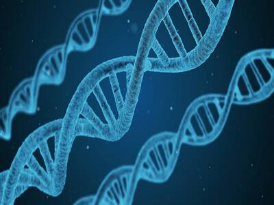 Genes And Diseases: Unveiling Five Genetically Influenced Diseases