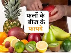 इन 5 फलों के बीज हैं पोषण से भरपूर, फायदे जानने के बाद नहीं करेंगे फेंकने की गलती