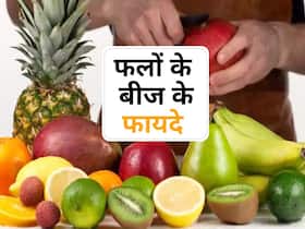 इन 5 फलों के बीज हैं पोषण से भरपूर, फायदे जानने के बाद नहीं करेंगे फेंकने की गलती इन 5 फलों के बीज हैं पोषण से भरपूर, फायदे जानने के बाद नहीं करेंगे फेंकने की गलती