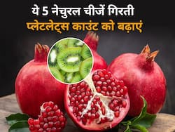गिरती प्लेटलेट्स काउंट को तेजी से बढ़ाती हैं ये 5 नेचुरल चीजें