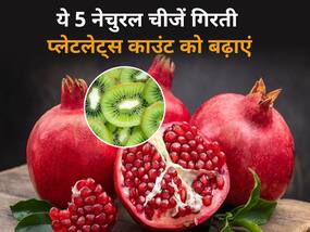 गिरती प्लेटलेट्स काउंट को तेजी से बढ़ाती हैं ये 5 नेचुरल चीजें
