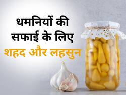 धमनियों से बैड कोलेस्ट्रॉल का नामोनिशान मिटा देगा शहद और लहसुन का ये खास नुस्खा, जानें सही इस्तेमाल का तरीका