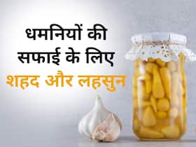 धमनियों से बैड कोलेस्ट्रॉल का नामोनिशान मिटा देगा शहद और लहसुन का ये खास नुस्खा, जानें सही इस्तेमाल का तरीका