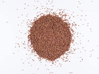 Why Ragi Has Become An Ultimate Health Trend?