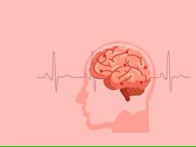 Silent Threat: Uncovering The LESSER-KNOWN Risk Factors For Brain Stroke