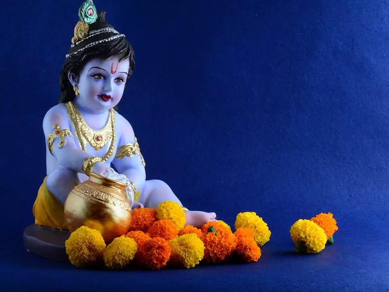 Janmashtami 2023: भगवान कृष्ण के नाम वाला ये फल कर देगा ब्लड शुगर की छुट्टी, जानें इस खास फल के बारे में