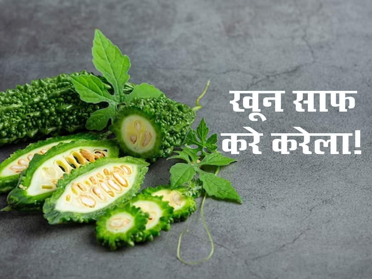 Khoon Saaf Karne Ke Upay Benefits of Bitter Gourd For Blood Purification In Hindi इस सब्जी