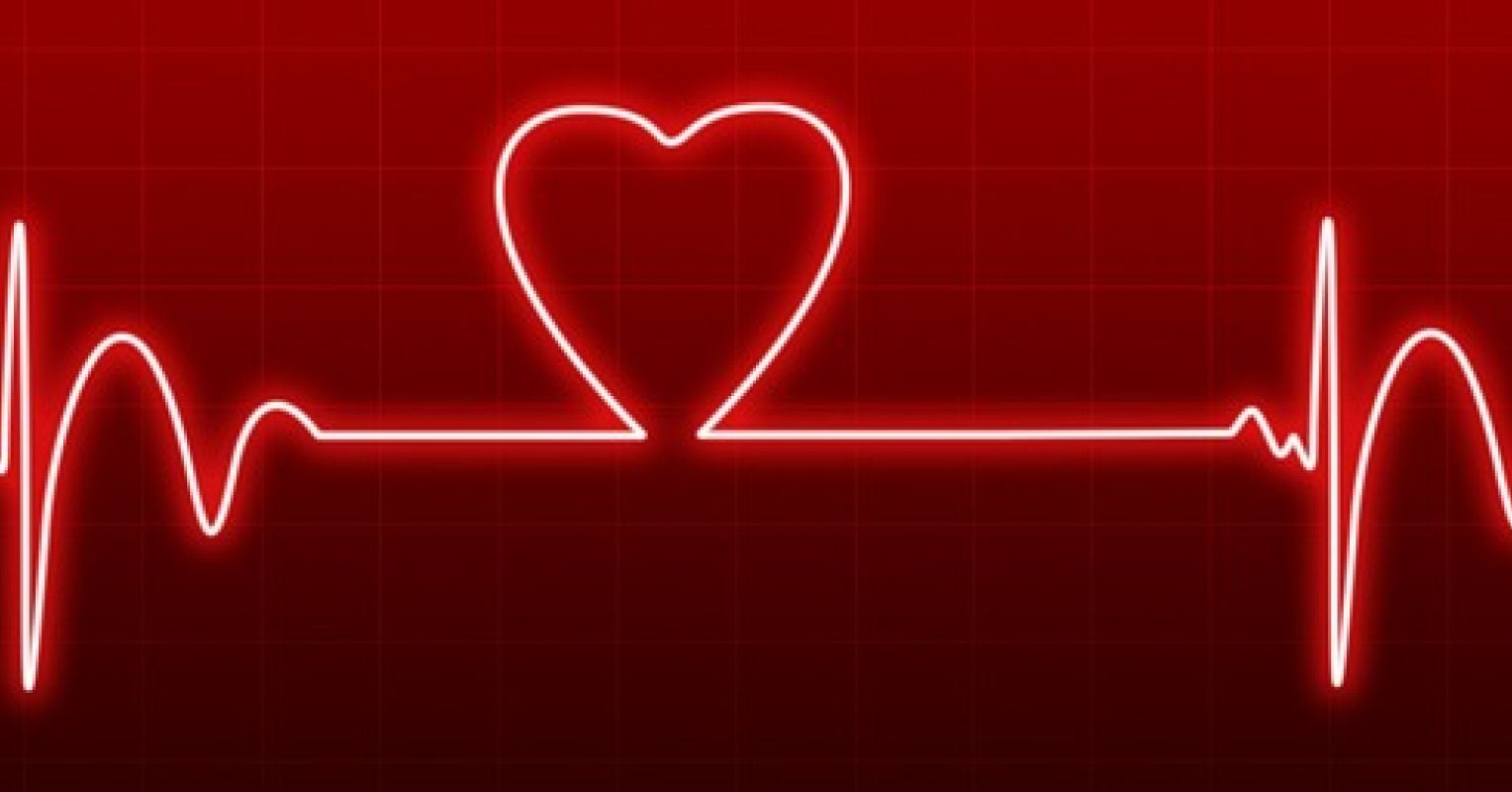World Heart Day 2023: Love Every Heartbeat