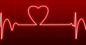 World Heart Day 2023: Love Every Heartbeat