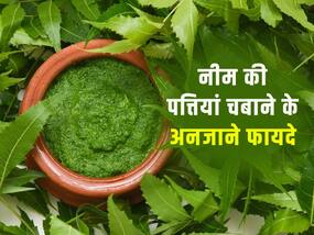 रोजाना नीम की पत्तियां खाने से कैसे बीमारियों से बचा जा सकता है