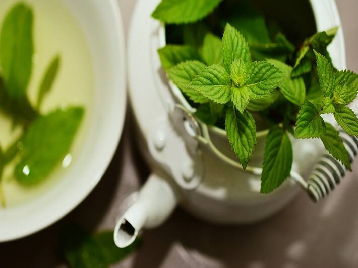 6 Amazing Health Benefits of Drinking Mint Tea Every Morning