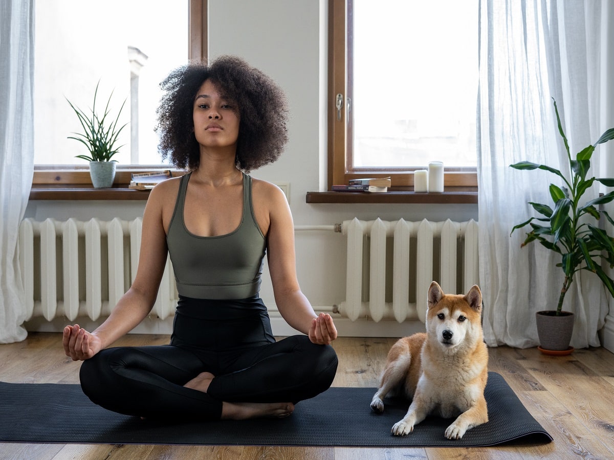 Malaika Arora Performs Danda Yoga In New Instagram Post: Check Amazing  Benefits of This Intense Routine