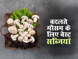 बदलते मौसम की बीमारियों से बचने के लिए खाएं ये 6 सब्जियां, जानें सर्दियों से पहले कौन सी सब्जी खानी चाहिए