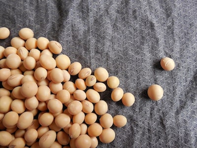 Why Some People Should Be Cautious While Consuming Soy?