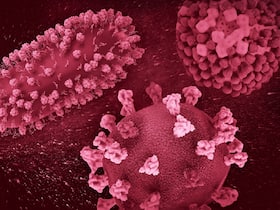 'Tripledemic' Alert: CDC Cautions People To Take These Precautions To Stay Safe 'Tripledemic' Alert: CDC Cautions People To Take These Precautions To Stay Safe