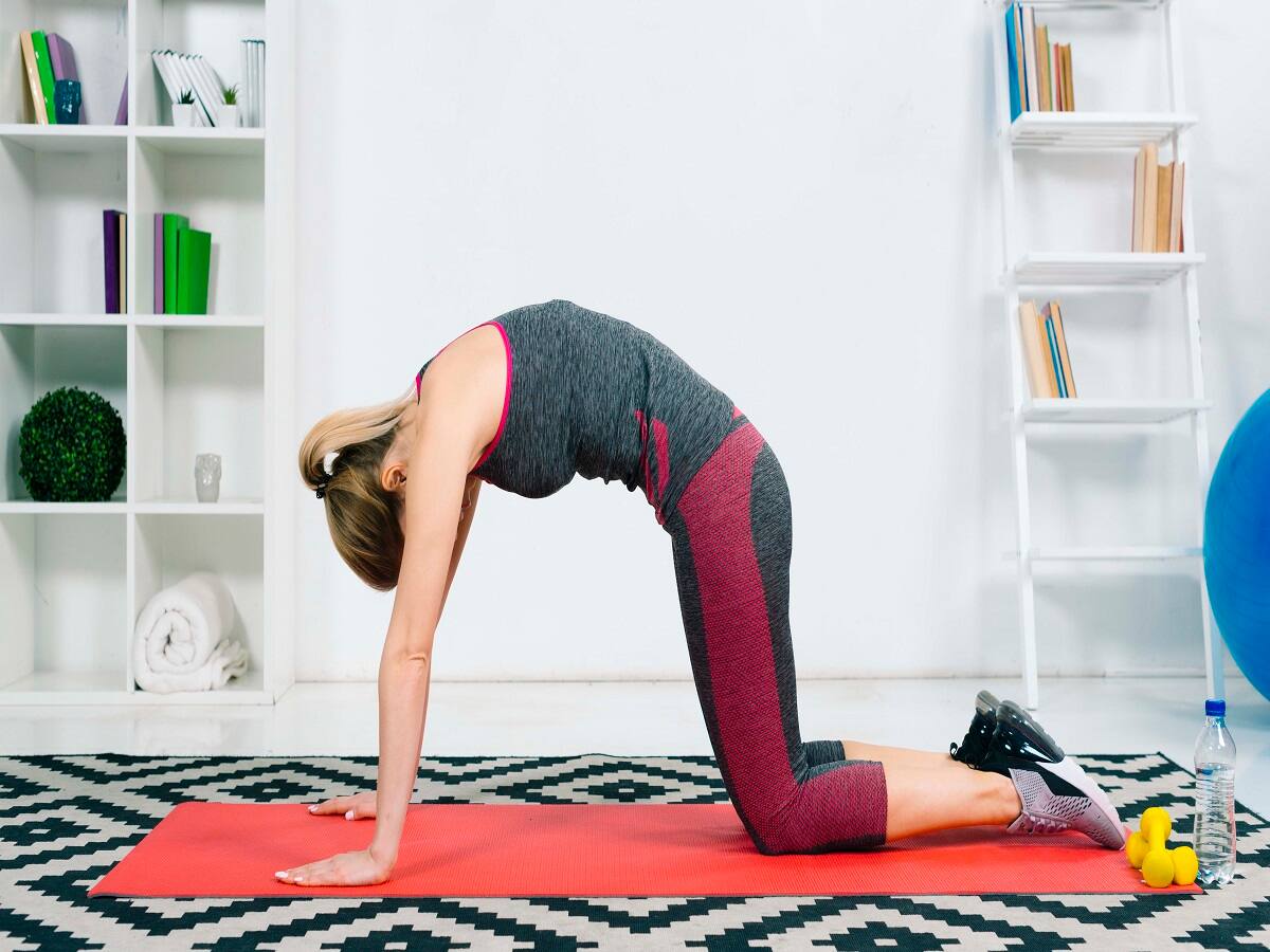 20 top Yoga Downward ideas in 2024