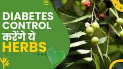 Diabetes Control Herbs : डायबिटीज से मिलेगी राहत