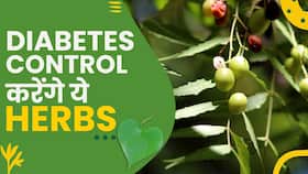 Diabetes Control Herbs : डायबिटीज से मिलेगी राहत Diabetes Control Herbs : डायबिटीज से मिलेगी राहत