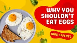 Egg Side Effects: The Reason Why Eating Eggs Is Not a Good Idea