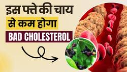 Bad Cholesterol Home Remedies: Bad Cholesterol को Control करेगी इस पत्ते की चाय