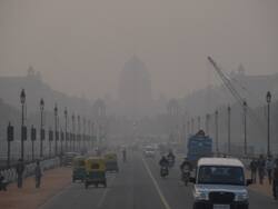 Delhi And NCR Air Quality Dips To Poor Again: How Can People With Allergies And Sinusitis Stay Safe?