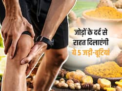 जोड़ों का दर्द दूर करने में कारगर हैं ये 5 जड़ी-बूटियां, जानें इस्तेमाल का तरीका