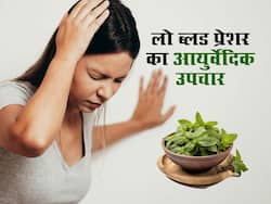 बीपी लो होने पर अपनाएं ये आयुर्वेदिक उपाय, तुरंत मिलेगी राहत