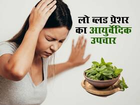 बीपी लो होने पर अपनाएं ये आयुर्वेदिक उपाय, तुरंत मिलेगी राहत बीपी लो होने पर अपनाएं ये आयुर्वेदिक उपाय, तुरंत मिलेगी राहत