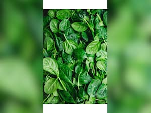 8 Amazing Benefits of Spinach for Health