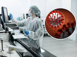 China To Study Never-Before-Seen Viruses, Raise Concerns For Future Pandemics