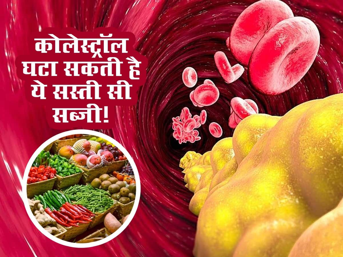 Bottle gourd for Cholesterol 5 रुपये किलो के भाव से बिकने वाली इस