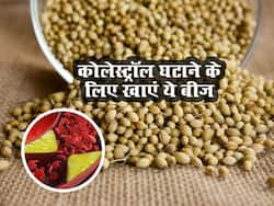 डायबिटीज और कोलेस्ट्रॉल दोनों कंट्रोल करता है धनिया के बीज, जानिए प्रयोग का तरीका