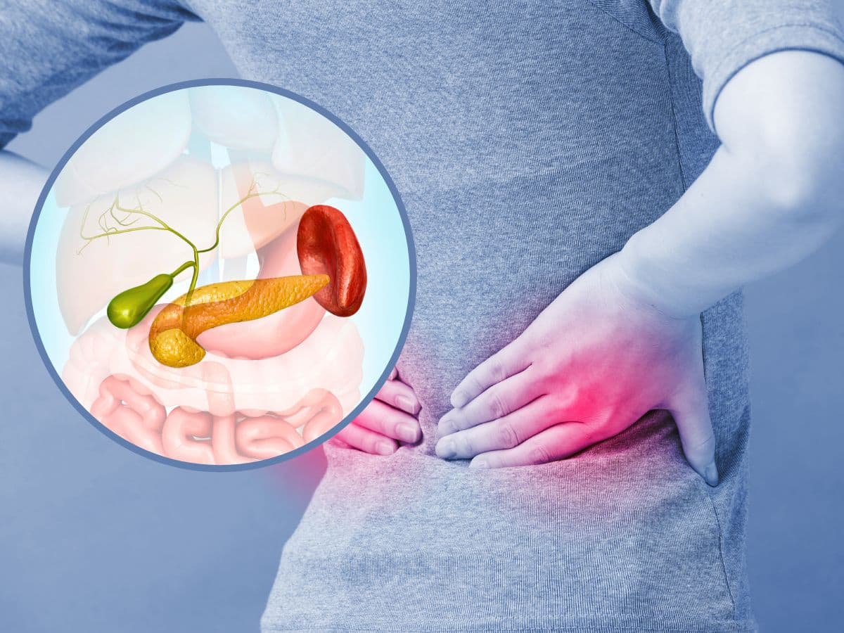 Damaged Pancreas 5 Pancreatitis Symptoms That May Appear on Your