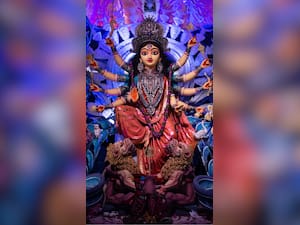 Delhi Durga Puja 2023: Top 8 Places To Eat Healthy Bengali Food In CR Park