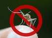 Dengue Management: Vaccines, Therapies, And Beyond