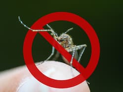 Dengue Management: Vaccines, Therapies, And Beyond