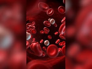 Diet For Blood Circulation: 7 Effective Drinks to Improve Blood Flow Naturally