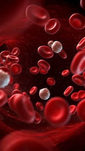 Diet For Blood Circulation: 7 Effective Drinks to Improve Blood Flow Naturally