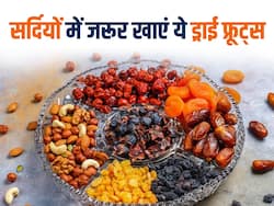 सर्दियों में शरीर को गर्म रखने के लिए खाएं ये 5 ड्राई फ्रूट्स, पास भी नहीं फटकेगी ठंड