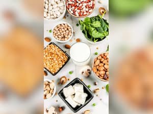 नाश्ते में शामिल करें प्रोटीन और फाइबर से भरपूर ये 10 चीजें, ऊर्जा मिलेगी भरपूर