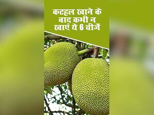 कटहल खाने के बाद कभी न खाएं ये 6 चीजें